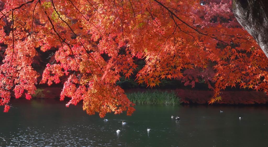 Hotel Cypress Karuizawa Eksteriør bilde